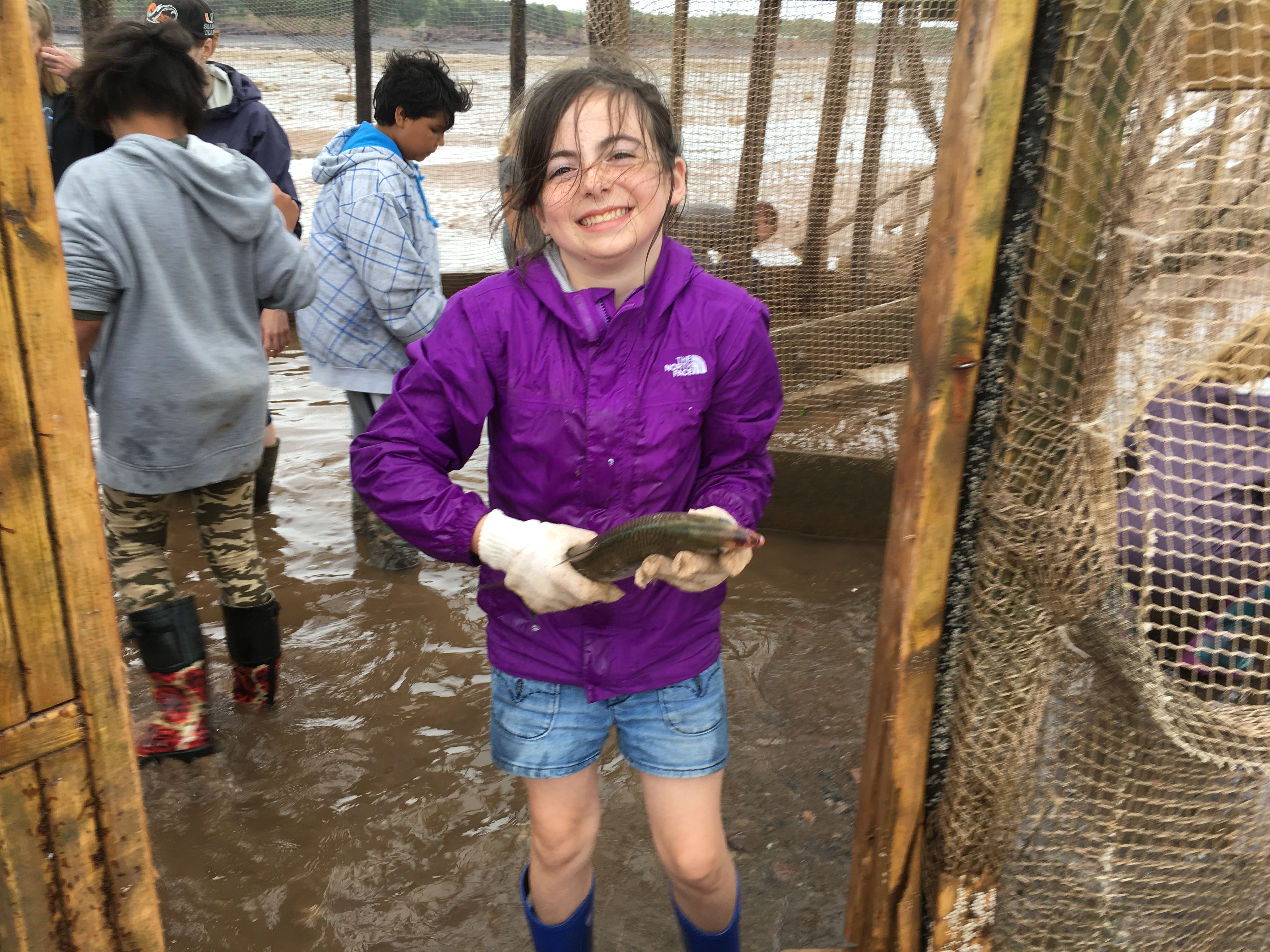 Minas Basin fish weir an outdoor classroom